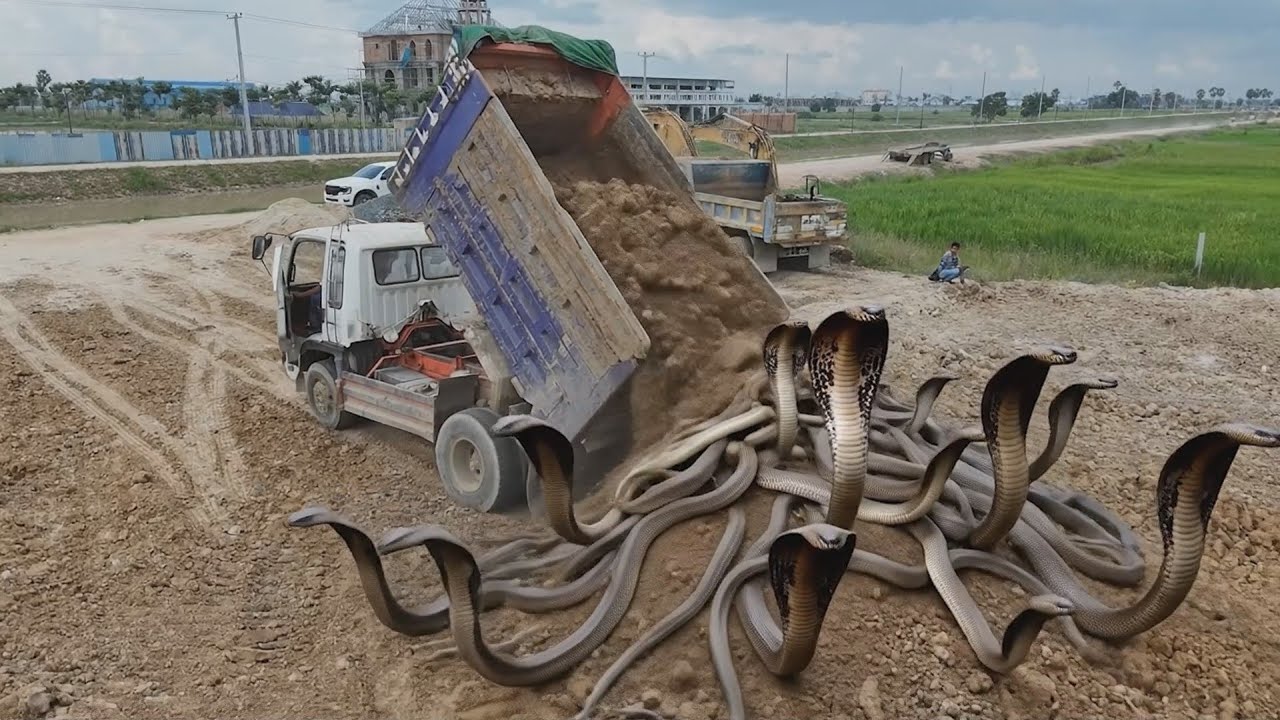 WTF!! Terrifying Land Fill Moment! KOMATSU Bulldozer & 5 Ton Truck Working Side by Side