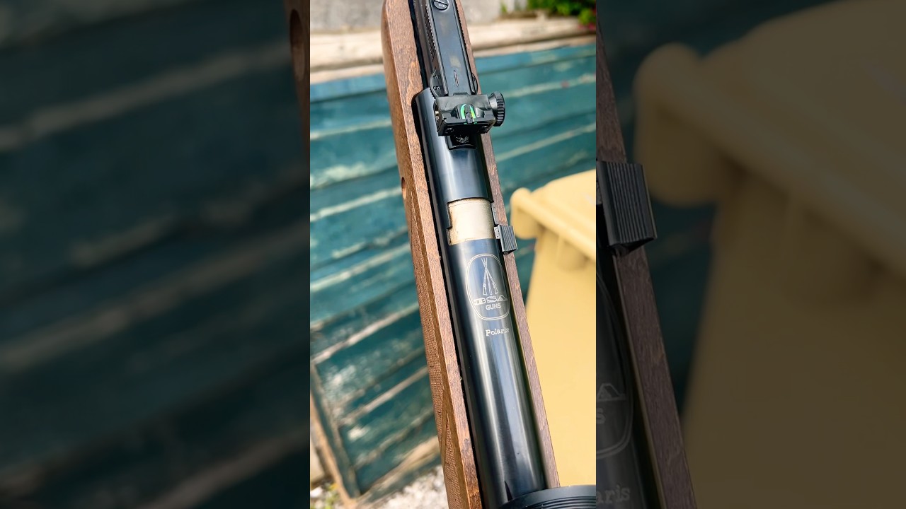 New air rifle - BSA Polaris