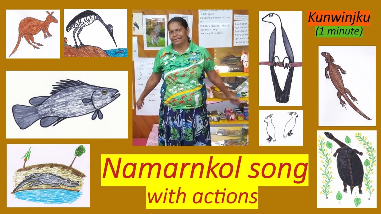 Namarnkol song with actions (Kunwinjku, 1 minute)