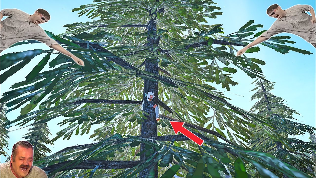🔥 БЕЗУМНЫЙ троллинг на деревьях в PUBG Mobile! 😂 Игроки совсем запутались 🥱😂