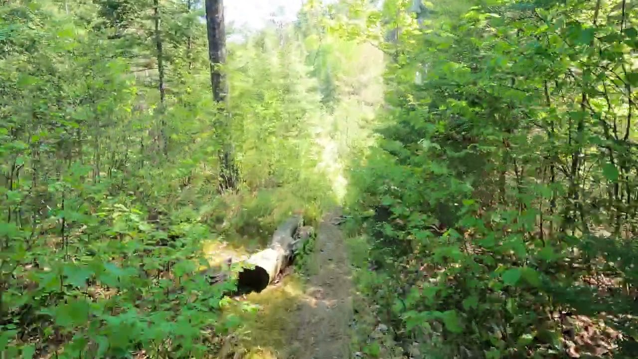 Hiking - Angleworm Trail (CCW) - From the Four-Way Intersection to the first Beaver Dam in the BWCA