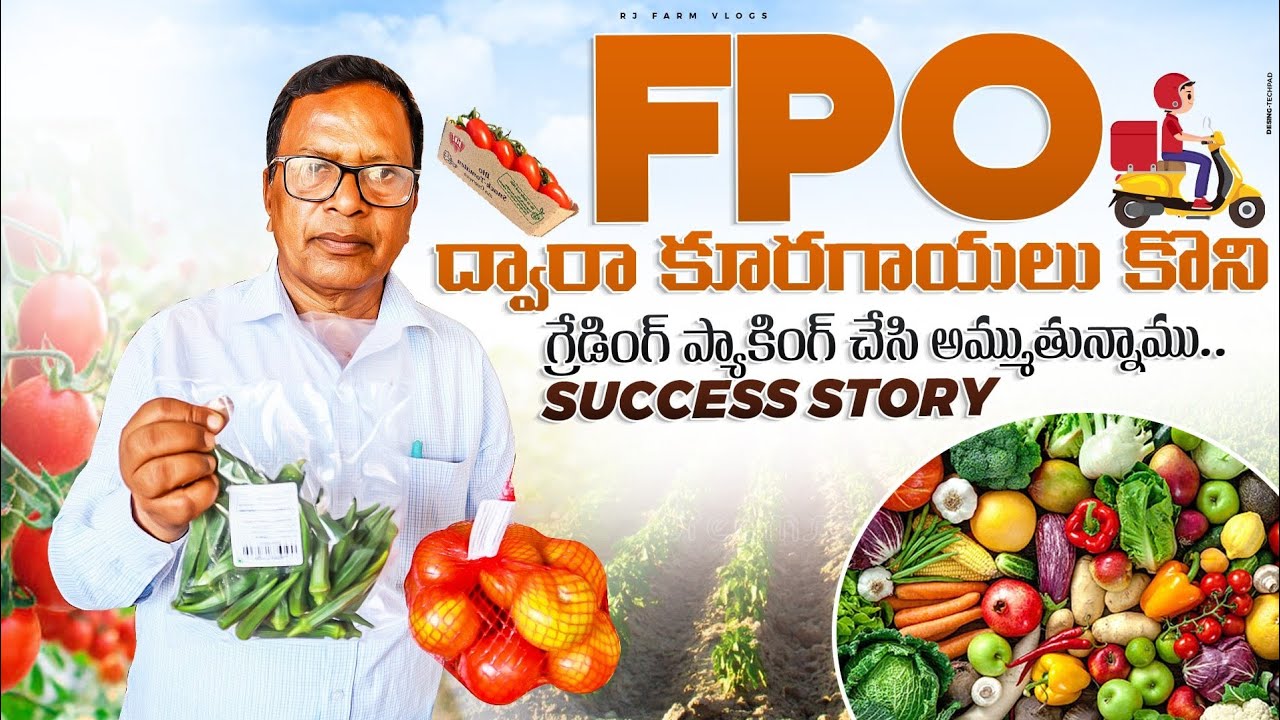 Selling Vegetables in Swiggy Bigbasket Buying from farmer With packing #Vegetables