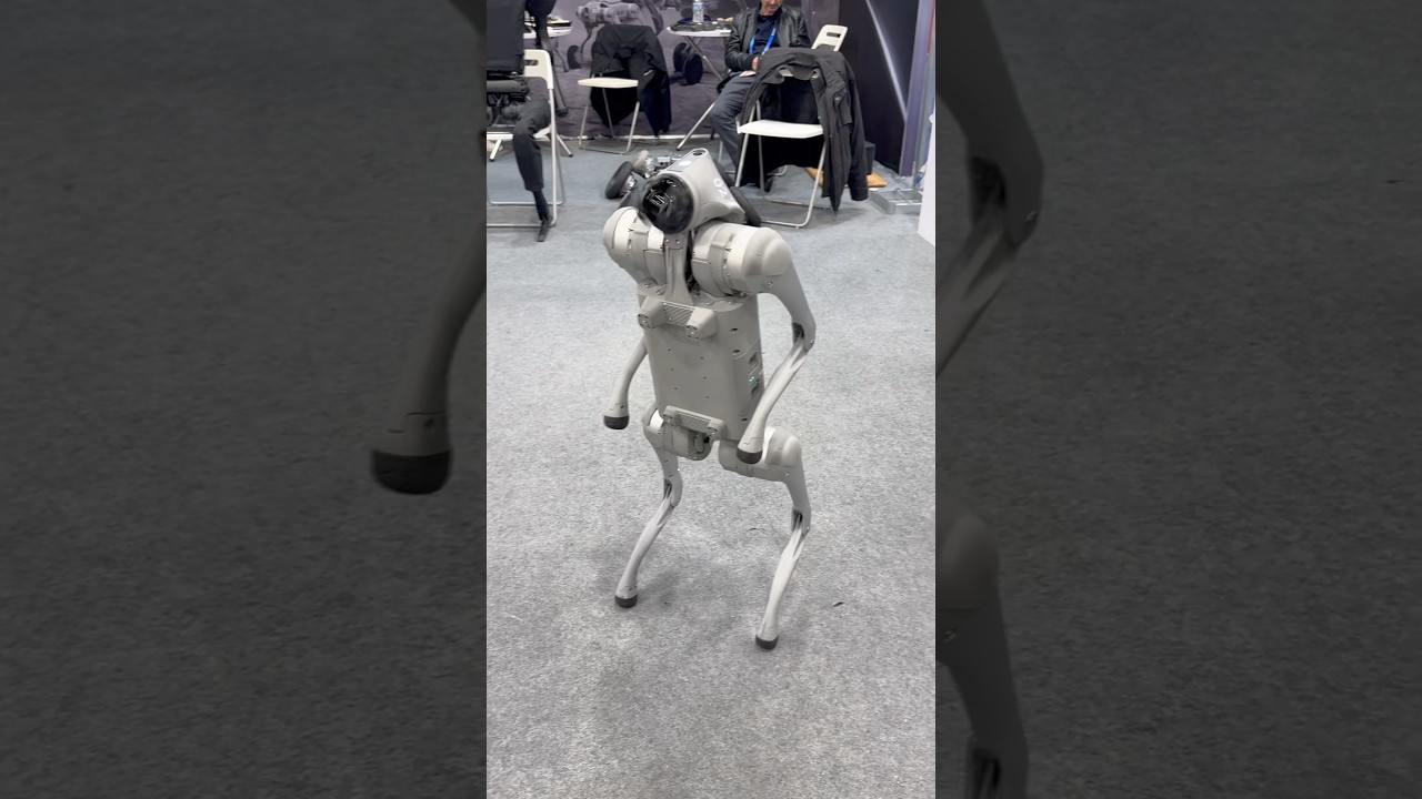 CES 2025 Unitree Robot Dog performs flips at #CES2025 presented by Toborlife AI #robodog #robotpet