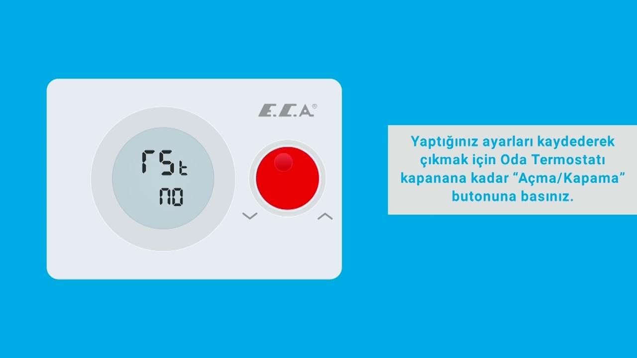 ECA POLY PURE 100W KABLOSUZ