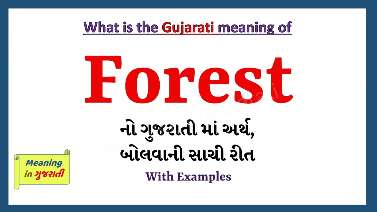 Forest Meaning in Gujarati | Forest નો અર્થ શું છે | Forest in Gujarati Dictionary |