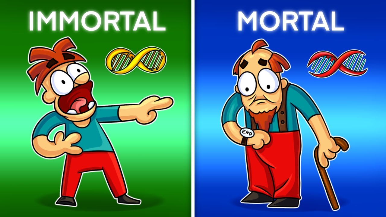 Io Sono Immortale! I Pro e i Contro della Vita Immortale!