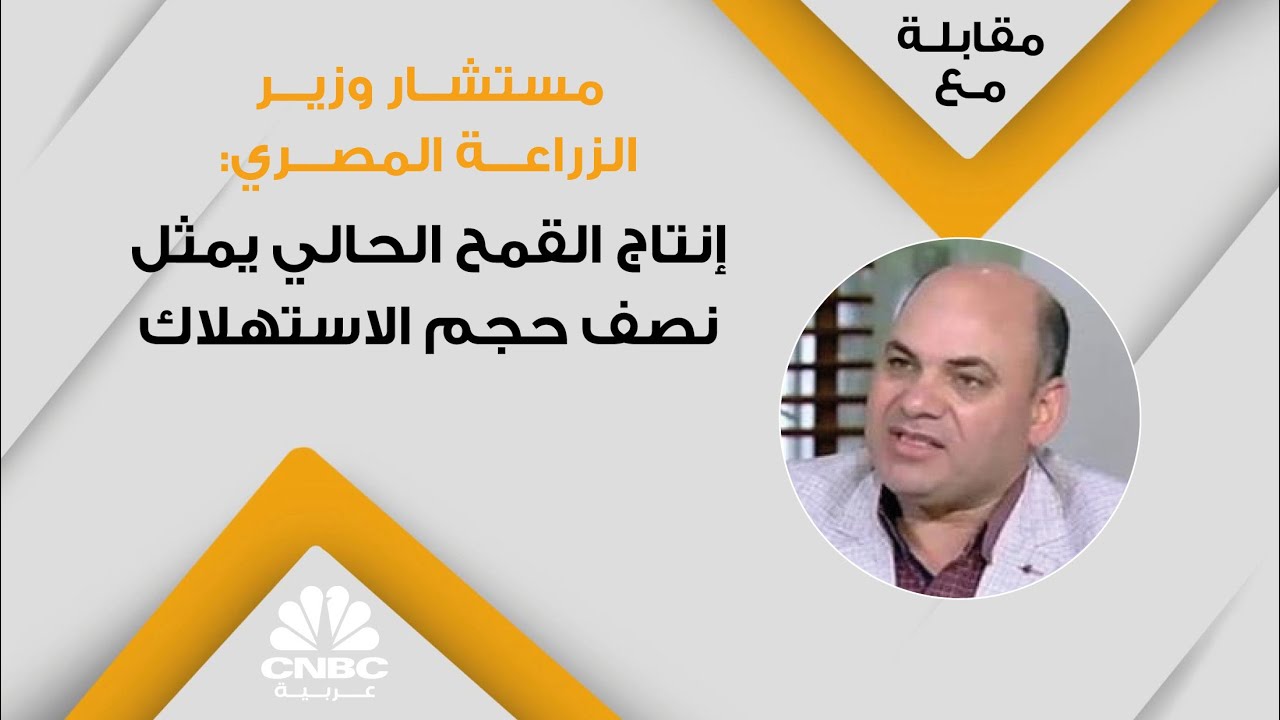 مستشار وزير الزراعة المصري: إنتاج القمح الحالي يمثل نصف حجم الاستهلاك