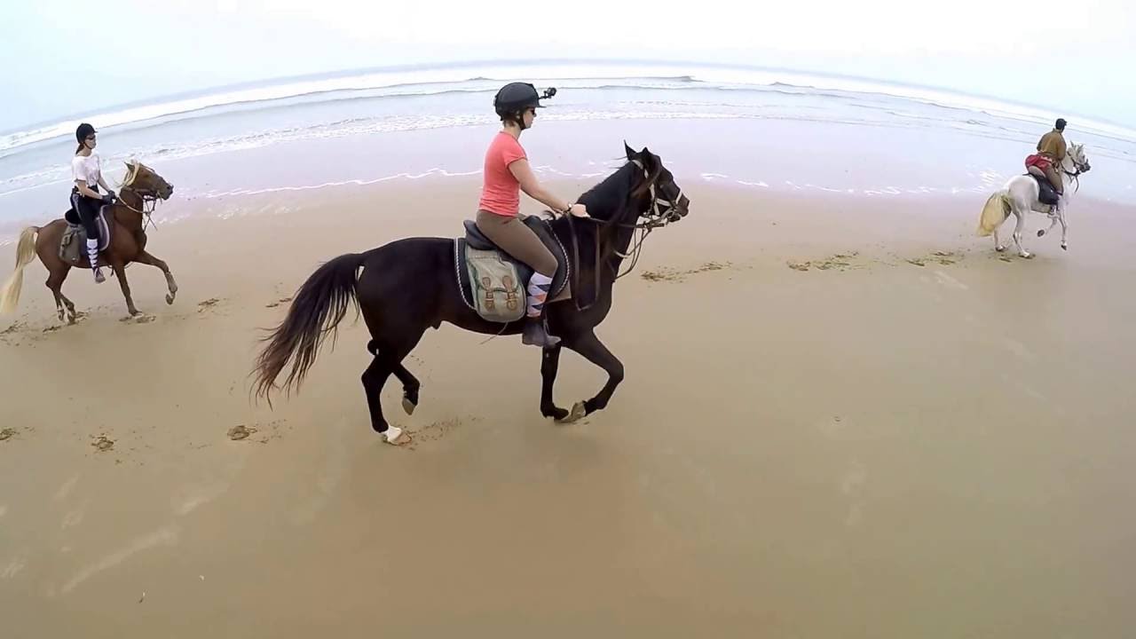 Galop sur la plage....!!! Essaouira - Maroc, La Maison du Cheval