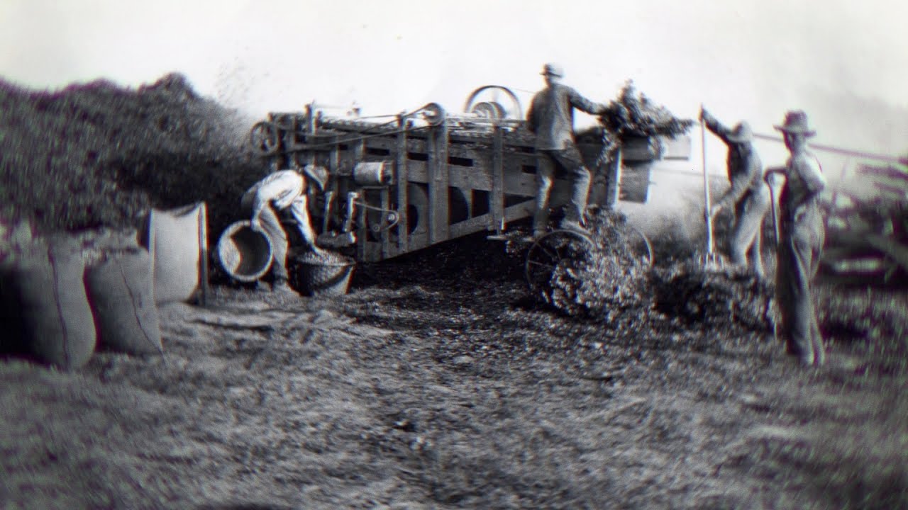 Virginia Peanut Story Preview (farmer heritage)