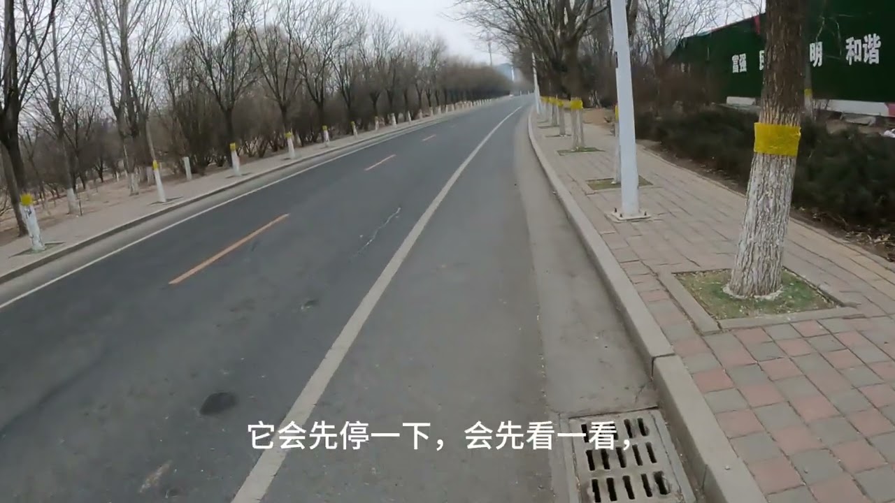 你以为你在思考，其实只是某个故事在借你开口