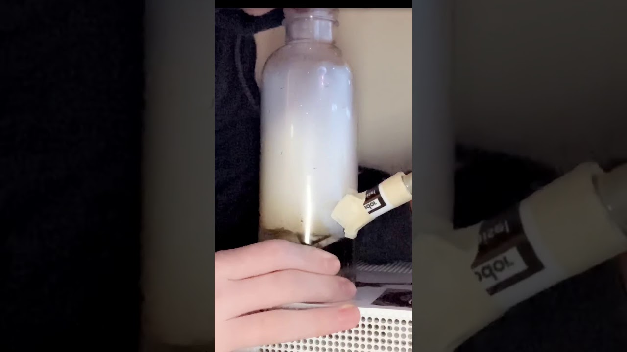Fat bong rips