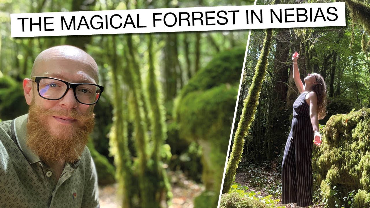 A Magical Forest Adventure in Nebias for My Daughter’s Birthday! 🌲🎂✨
