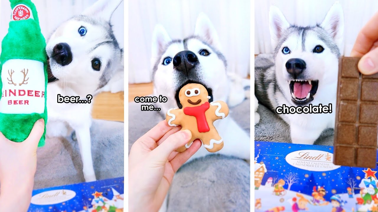 Открываем САМЫЙ БЕЗУМНЫЙ Рождественский календарь! 🎁 (Адвент-календарь Скайи — ЧАСТЬ 1)