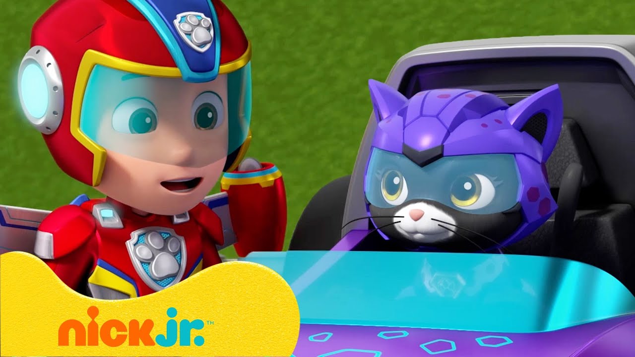 Psi Patrol | Nowe wsp&oacute;lne akcje z Kocią Paczką i Mini Patrolem! | Nick Jr. Polska