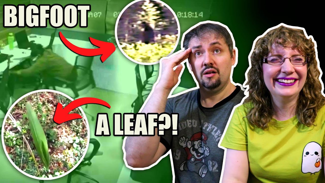 DEBUNKING Paranormal Videos (Bigfoot, Office Ghosts, a Leaf)