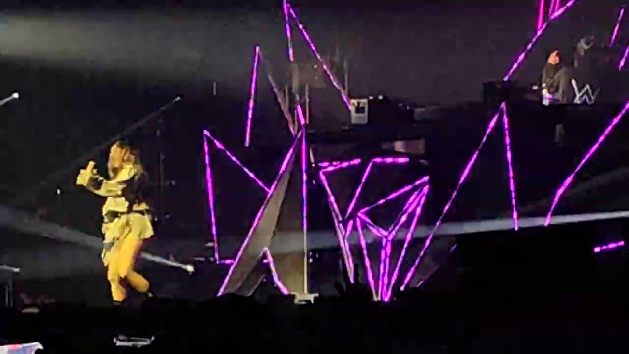 Alan Walker Łódź Atlas Arena