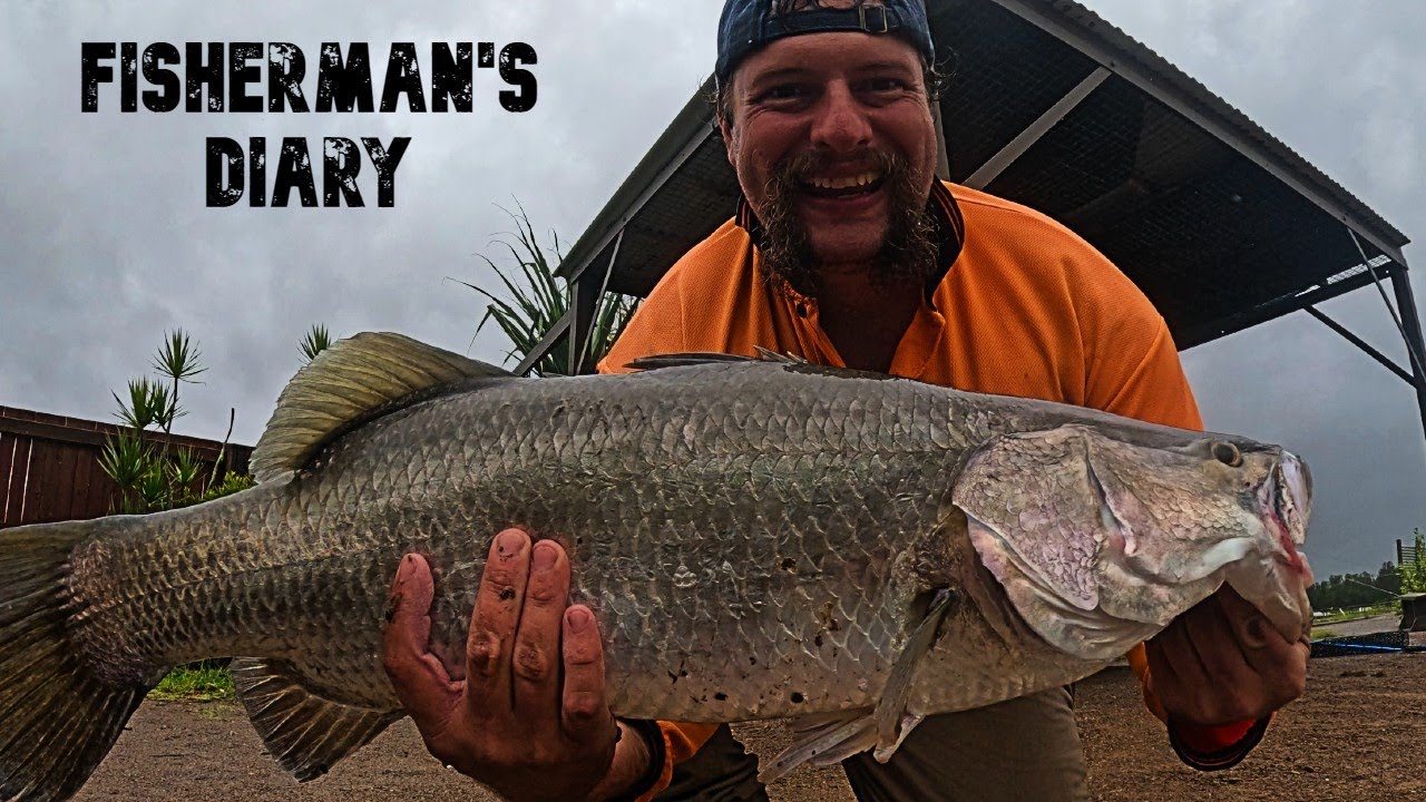 INSANE Session At Bli Bli Barra Park! 750 Ep Special! ~ Fisherman's Diary Ep 750