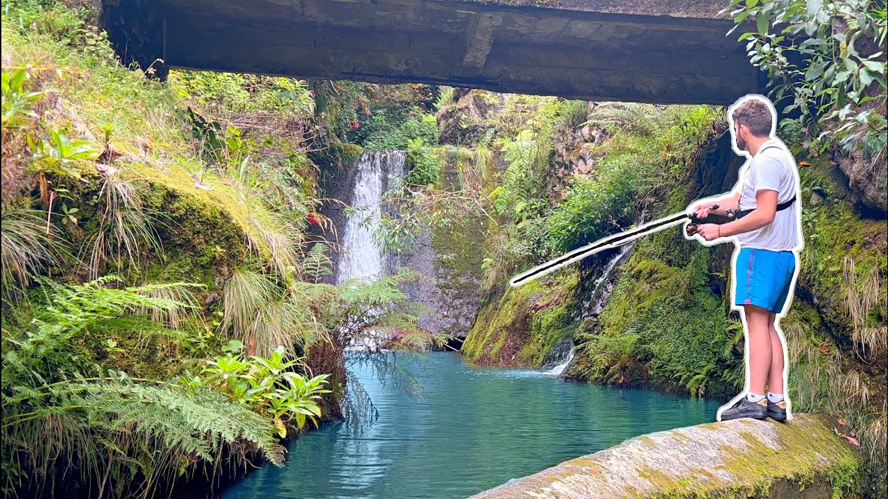 Fishing this TINY mountain stream left me SPEECHLESS ⛰
