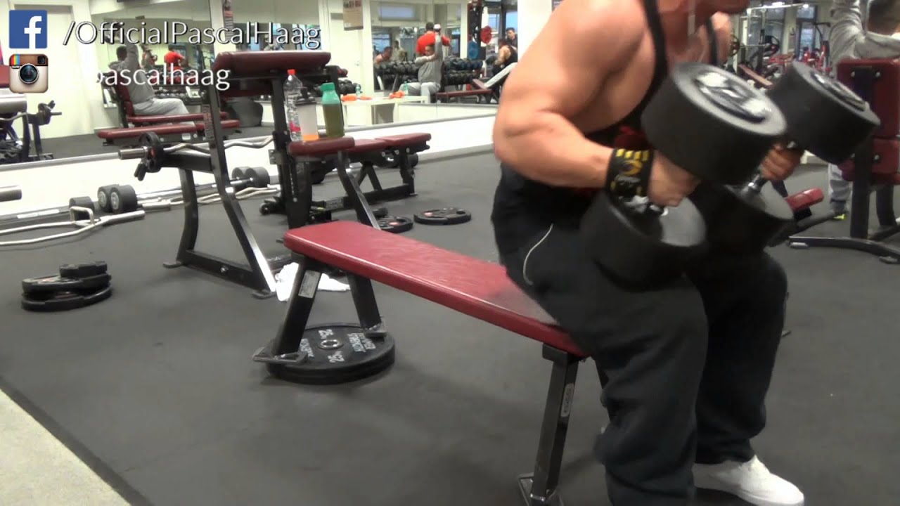 Brust/Chest WORKOUT / Probrowear - Off Season