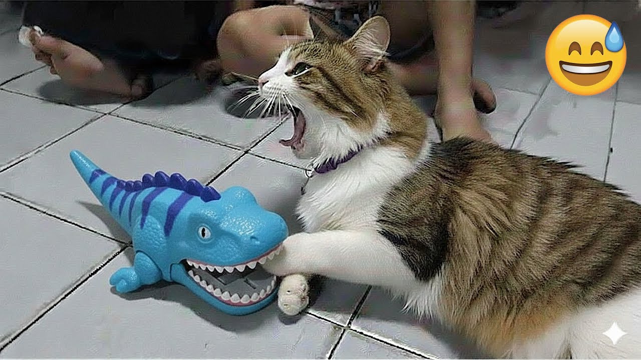 Funniest Cats and Dogs Clips 2026❤️🐱Try Not To Laugh🐶