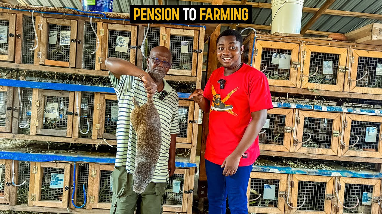 From Pension To Farming: He Got Bored After Pension and Started a GRASSCUTTER FARM. #grasscutter