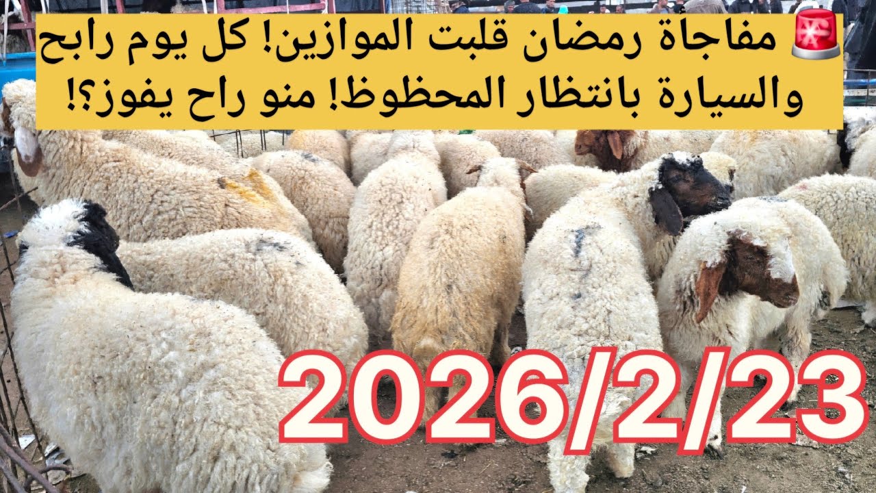 🚨 مفاجأة رمضان قلبت الموازين! كل يوم رابح… والسيارة بانتظار المحظوظ! منو راح يفوز؟!