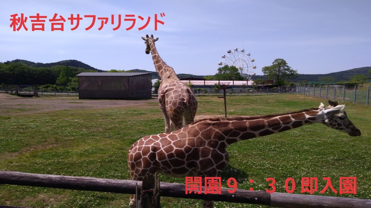 秋吉台サファリランド【動物】