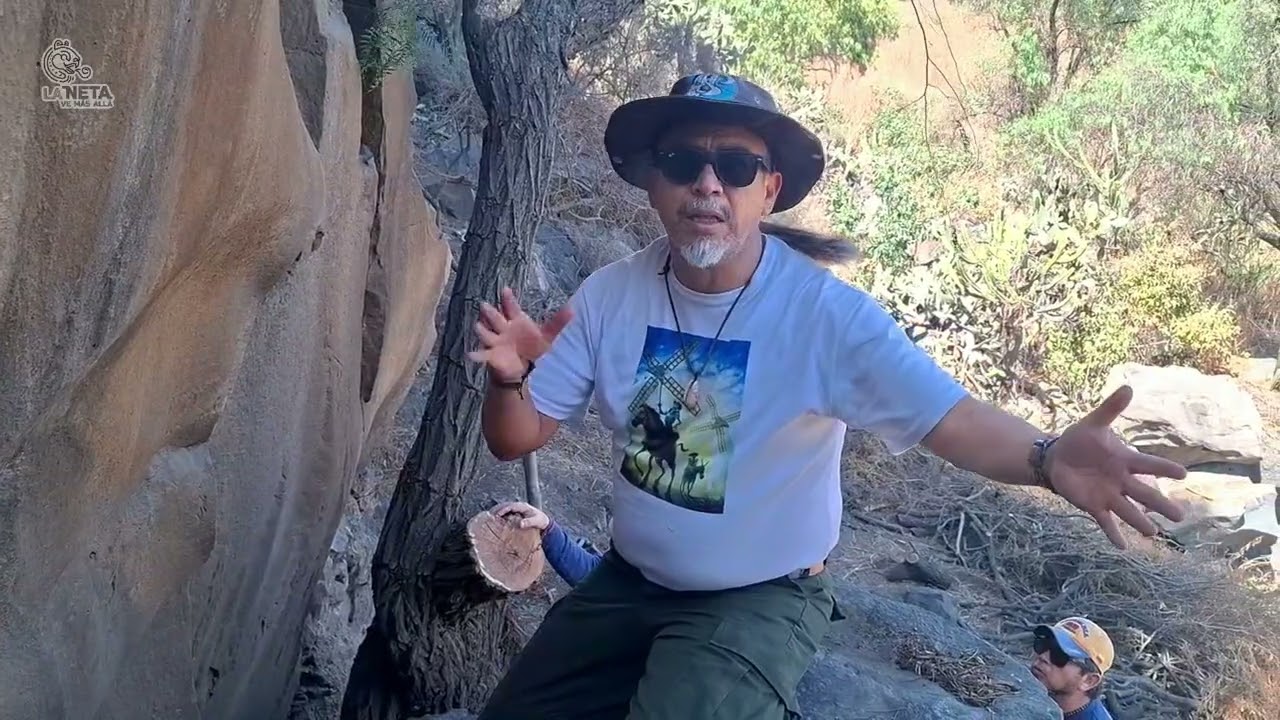UN CHAMAN Y UN VENADITO SE SALVAN DEL NUEVO TREN MÉXICO-QUERÉTARO