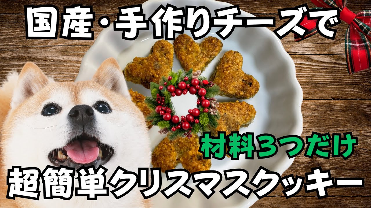 材料3つ🧀国産・手作りチーズで作る「犬用クリスマスクッキー」飼い主さんとわんちゃん安心🐶【猫社員通信・第10回】