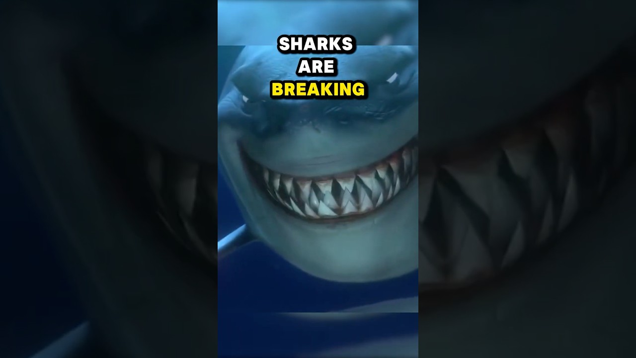 Did you survive the sharks?