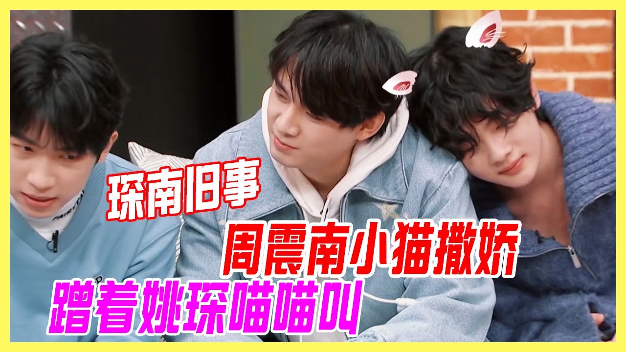 周震南小貓撒嬌，蹭著姚琛喵喵叫，琛南舊事發糖現場！【大夥之家】