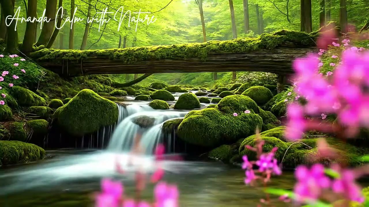 Deep Sleep Music with Classical Piano for a Peaceful Night