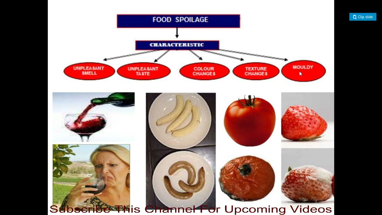 Common Types  Of Food Spoilage   Lecture 1