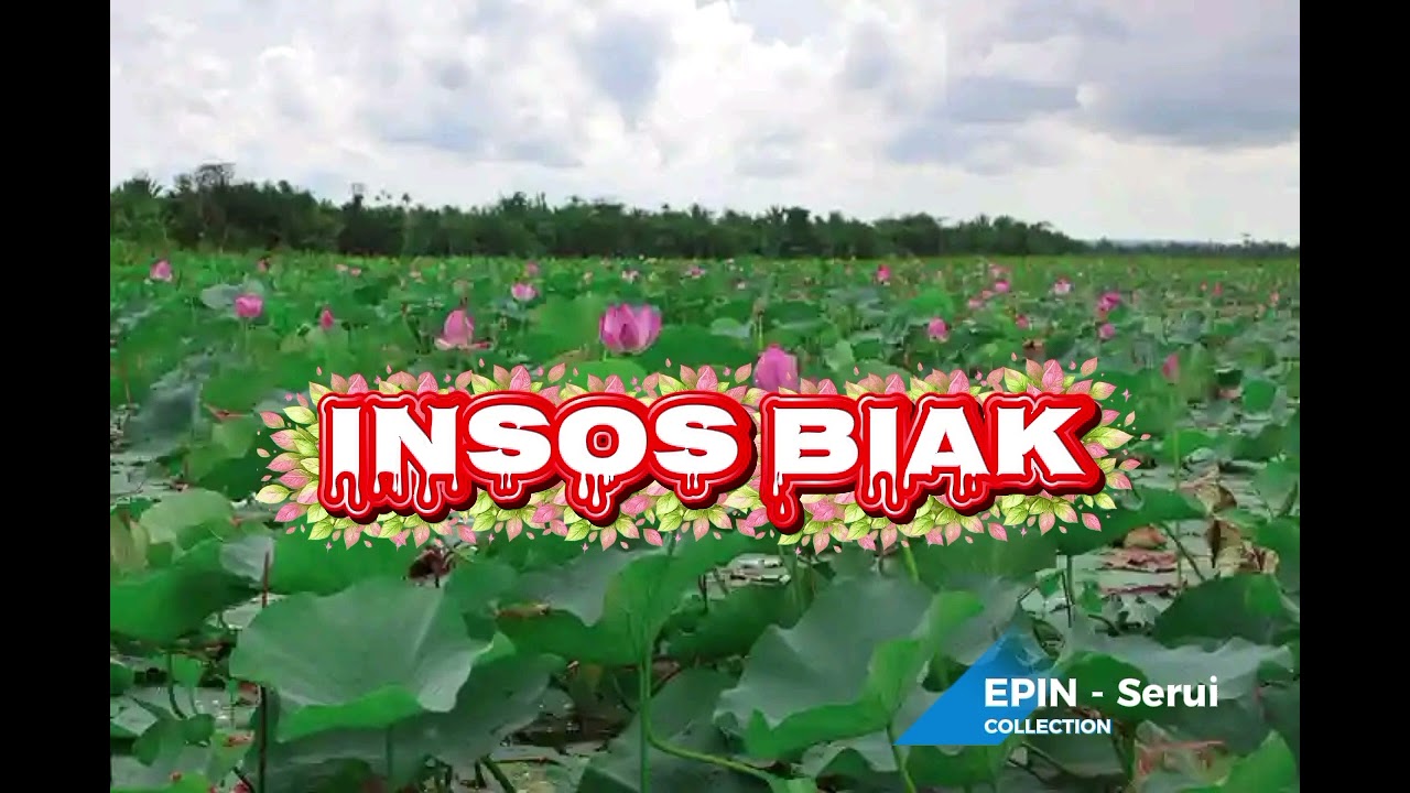 INSOS BIAK 
