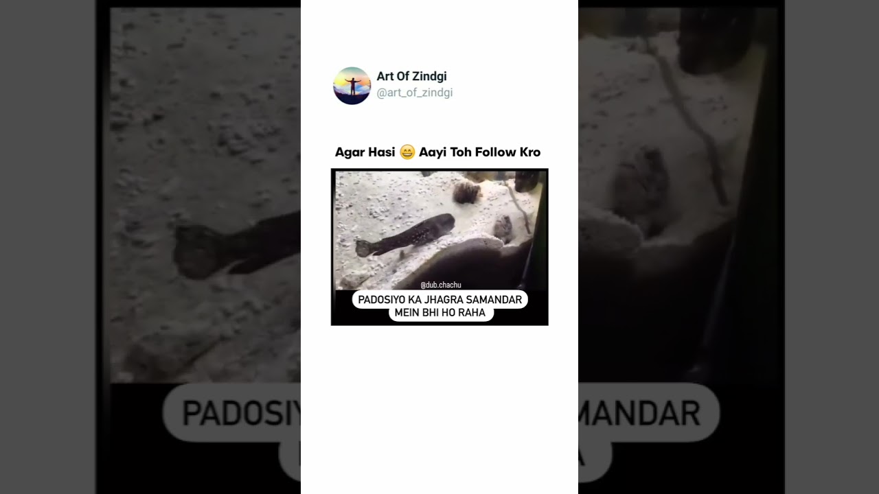 #funnyfish #comedyshorts #funny shorts #fish#fishfight #funnydubbing #fishdubbing #animalsdubbing #