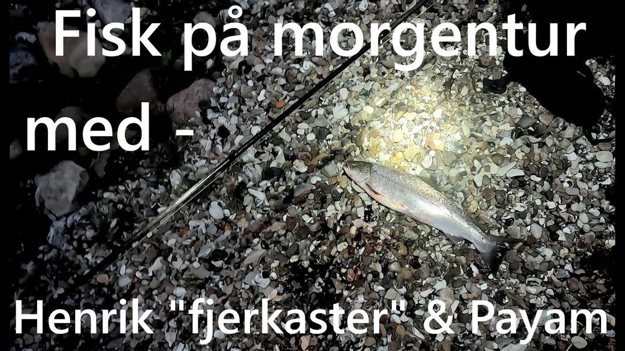 Sydfyn leverer atter fisk til De Gamle