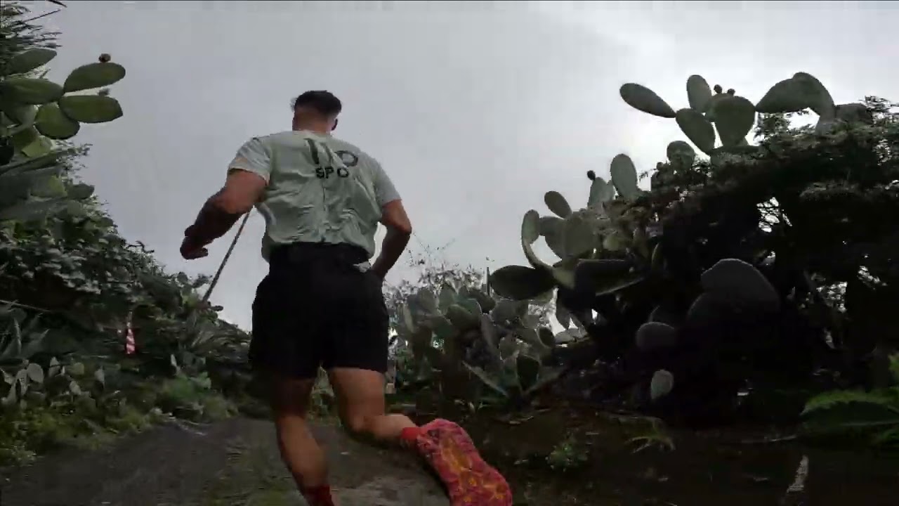 PINO SANTO 3 PRIMEROS