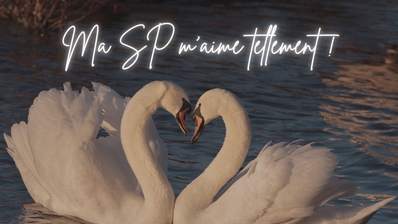 Ma SP m'aime tellement !