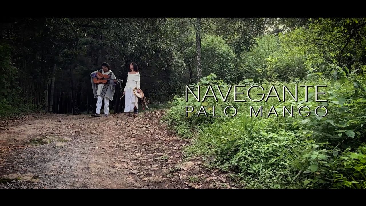 Navegante - Palo Mango (Videolyric)