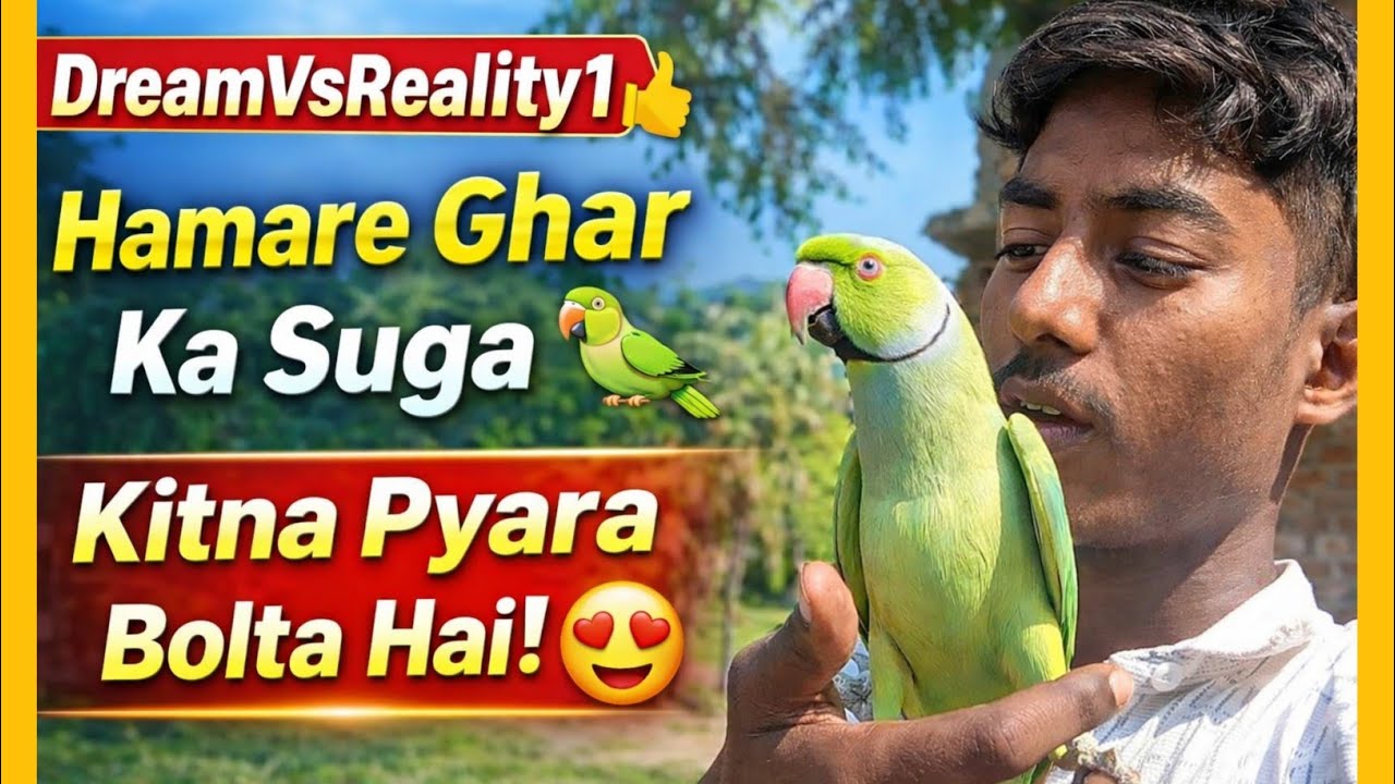 ।। Hamare Ghar Ka Suga 🦜 | Kitna Pyara Bolta Hai! 😍 ।। #DreamVsReality