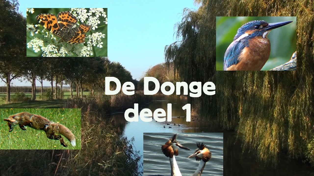 De Donge deel 1