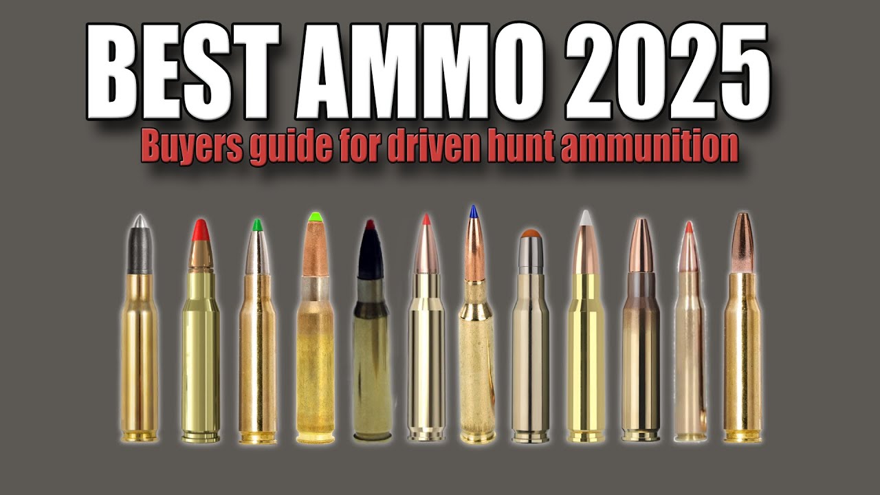 BEST AMMO 2025 - A buyer&acute;s guide to 12 different ammunition developed for driven hunts