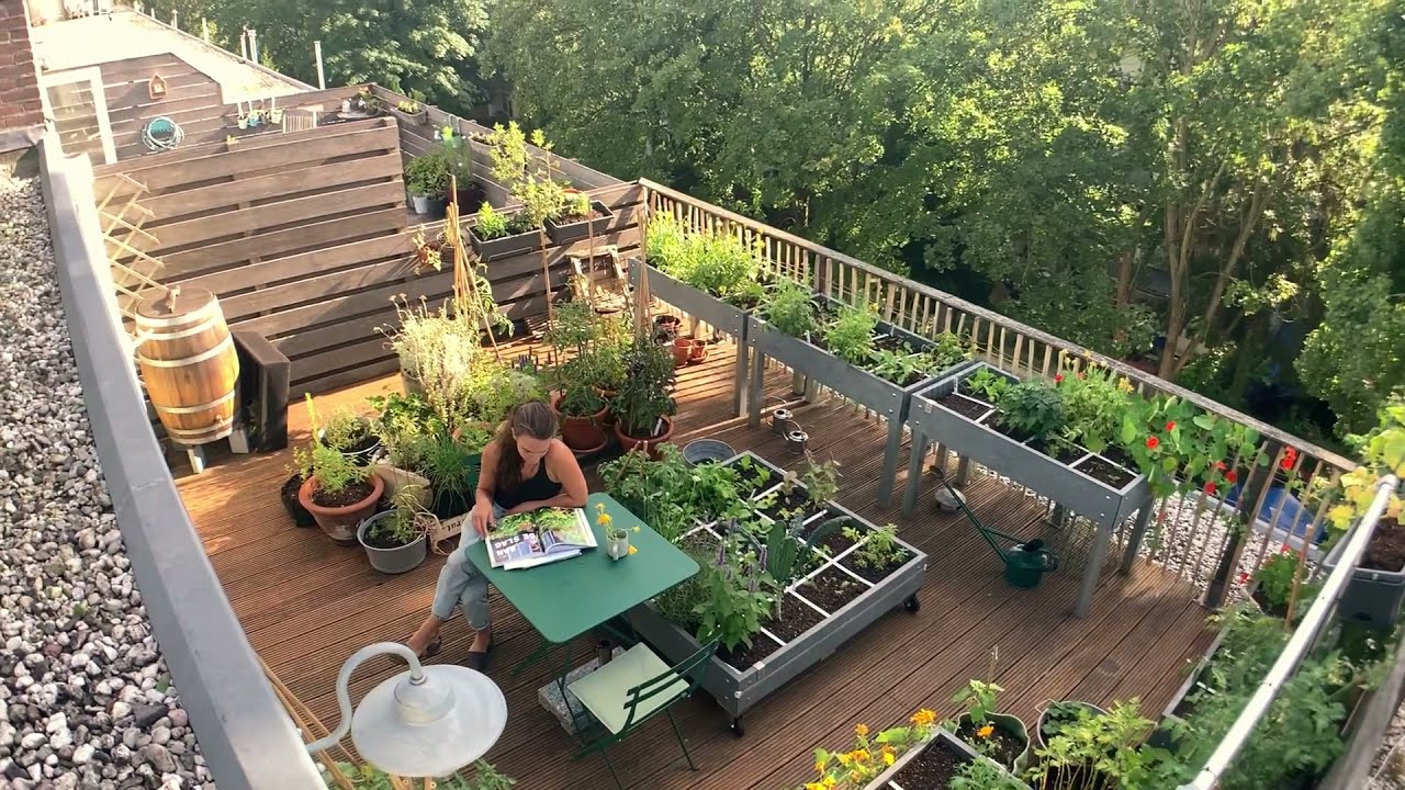 Dakterras met Makkelijke Moestuin: begin augustus