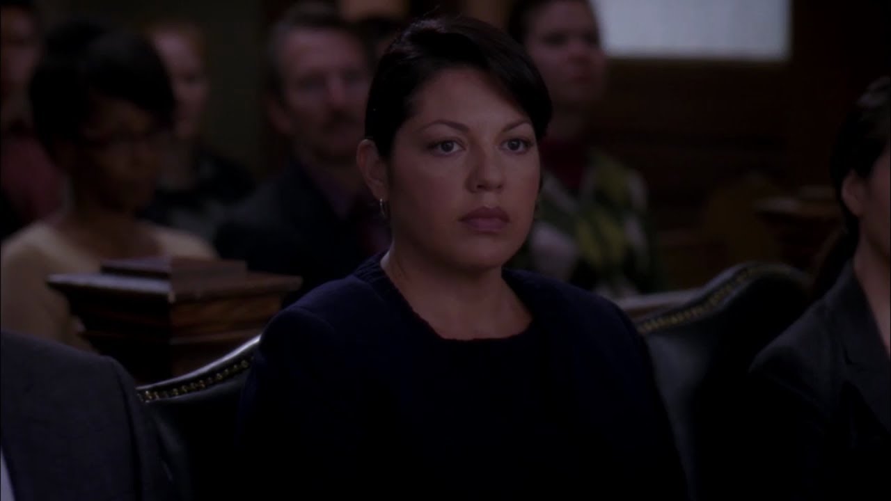 Grey's Anatomy - Callie Torres Story