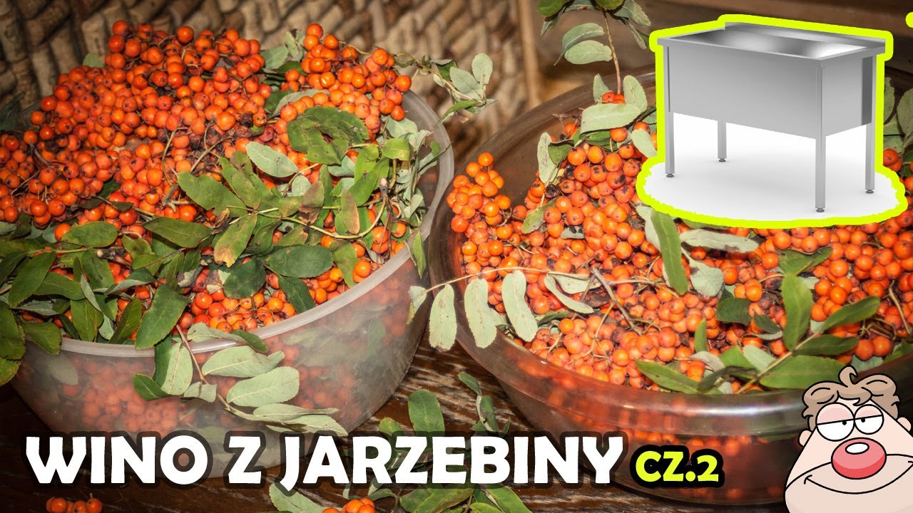 ZACZĄŁEM REMONT STUDIA! - vlog! Wino z Jarzębiny cz.2 . przepisu - Po co mi BASEN gastronomiczny?
