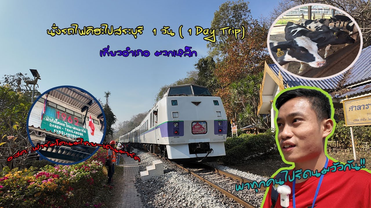 นั่งรถไฟนำเที่ยวไป อสค.ฟาร์มโคนมไทยเดนมาร์ค จังหวัดสระบุรี 1 วัน ( 1 Day Trip )