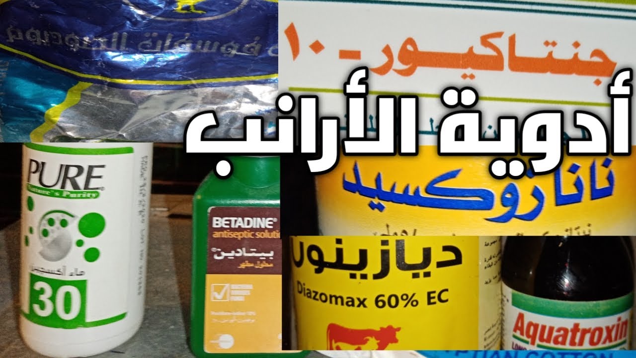 أدويه الأرانب (١)