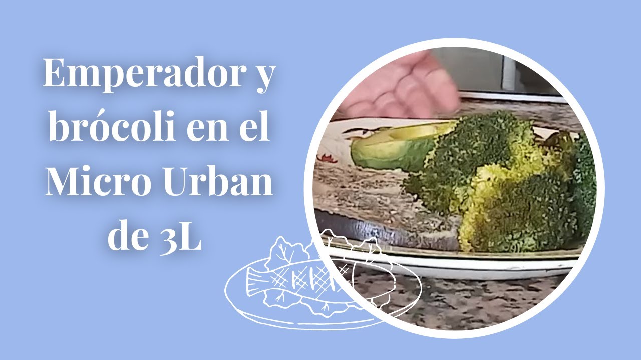 Emperador y brócoli en el Micro Urban
