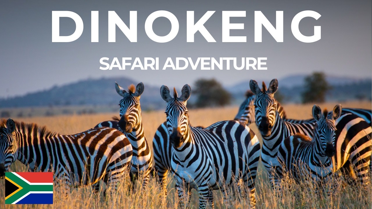 Dinokeng Game Reserve South Africa Safari Near Pretoria