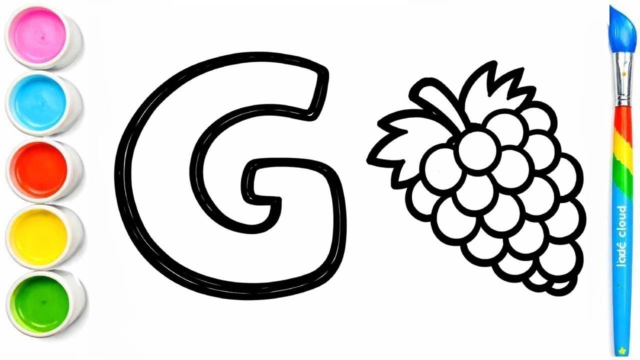 G Is for Grapes | Easy Grapes Drawing & Coloring for Kids | ABC Learning | Little Cloud